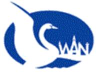 41x63mm -100 Pack, Thick Sleeves (SWN-543)